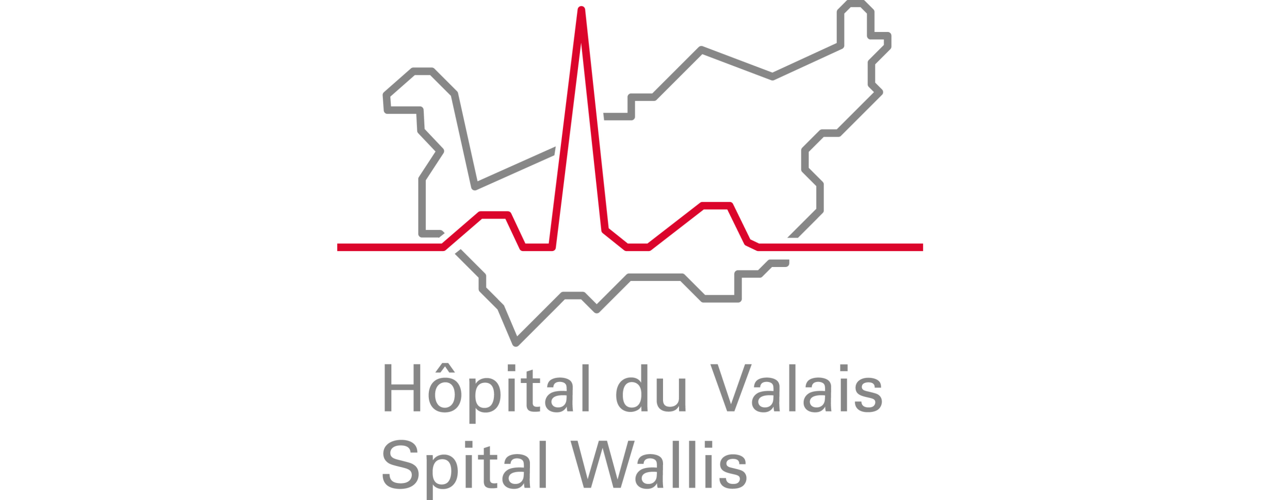 hospital logo